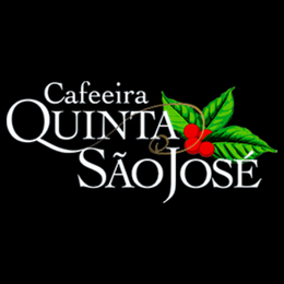 Logo Tipo